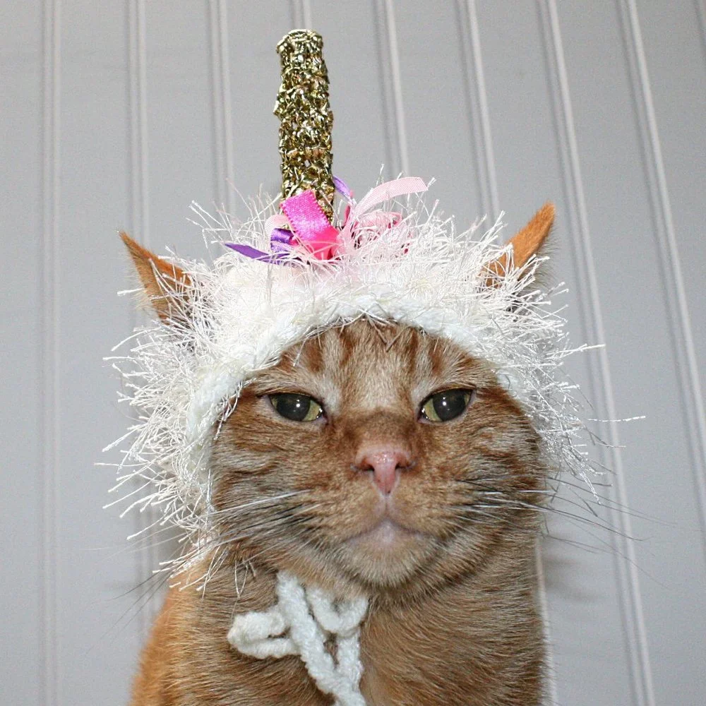 HAND CRAFTED Unicorn Cat Hat Crochet Hairy Wig Costume Photo Prop
